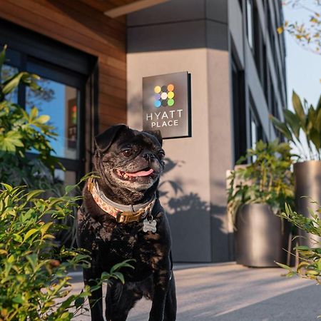Hyatt Place Atlanta/Perimeter Center Sandy Springs Exterior foto